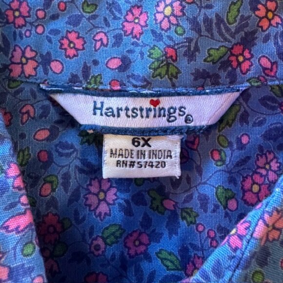 Hartstrings Blue Pink Floral Button Shirt sz 6X - Picture 3 of 9